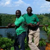 Cosset events