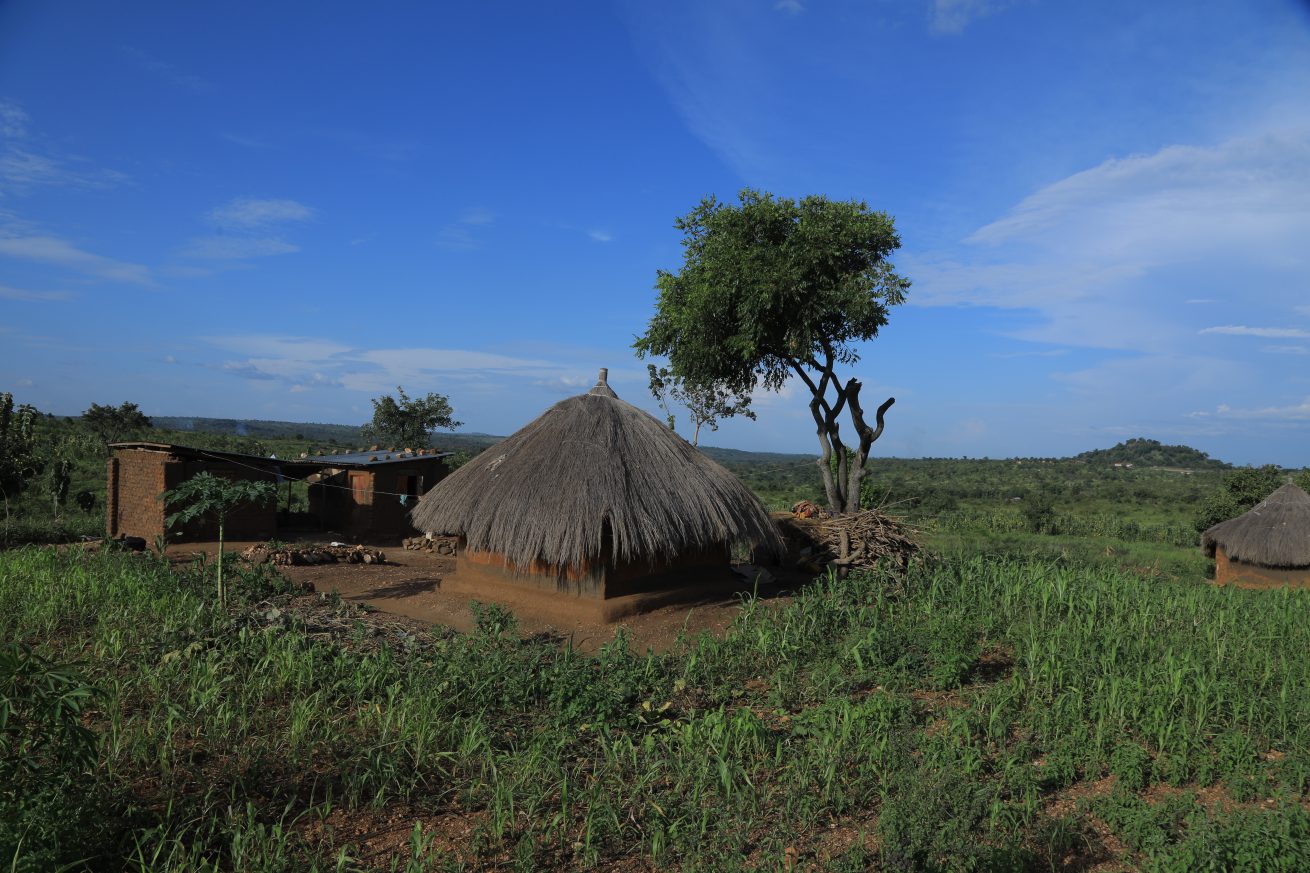 Documentary Shooting